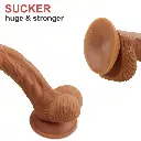 wrgrjy.webp