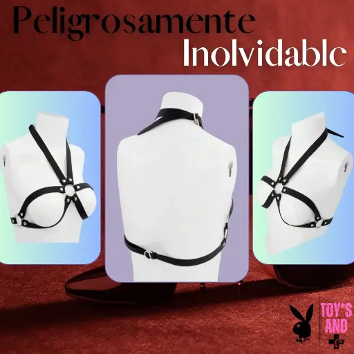 Bdsm Sujetador de Senos  0026